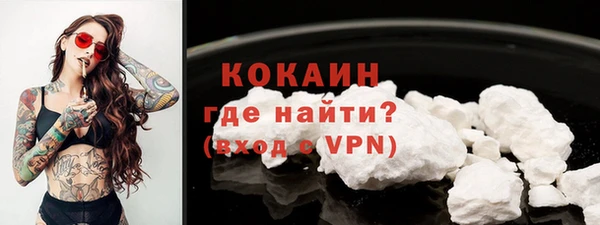 прущий лед Новозыбков