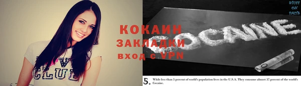 прущий лед Новозыбков