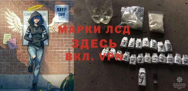 стаф Нея