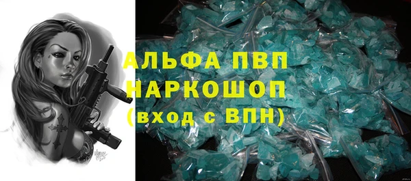 крисы Билибино