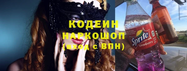 прущий лед Новозыбков
