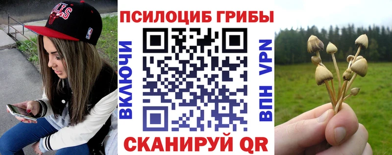 Галлюциногенные грибы ЛСД  где найти   hydra   Микунь 